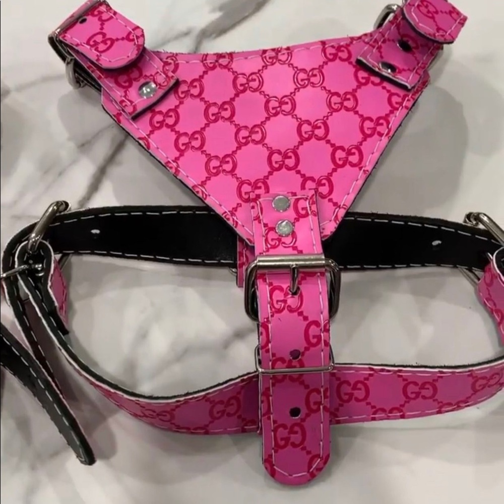 Dog harness